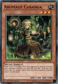 Aromage Cananga (CORE-EN035) Common