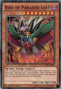 Bird of Paradise Lost (CORE-EN040) Common