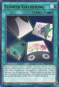 Flower Gathering (DRL3-EN040)  Ultra Rare