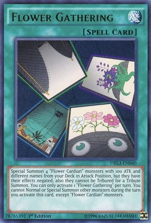 Flower Gathering (DRL3-EN040)  Ultra Rare