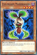 Evilswarm Mandragora (YS17-EN011) Common
