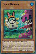 Duck Dummy (CIBR-EN033) Common