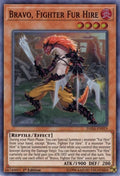 Bravo, Fighter Fur Hire (DASA-EN019) Super Rare