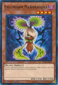 Evilswarm Mandragora (YS18-EN016) Common
