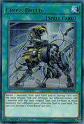Cross Breed (CYHO-EN066) Rare