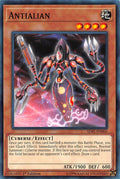 Antialian (SDPL-EN006) Common
