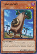 Baobaboon (MP18-EN009) Common