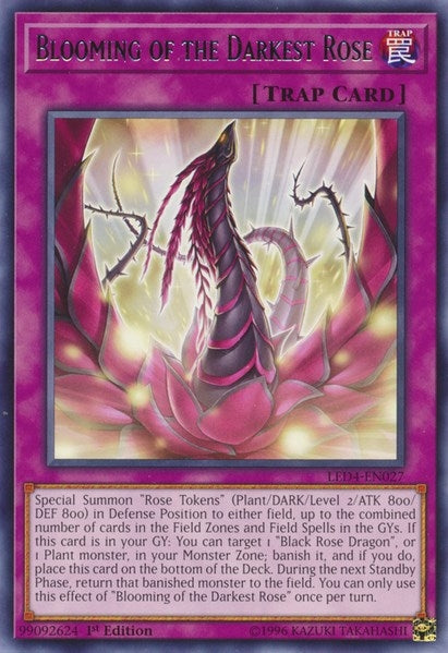 Blooming of the Darkest Rose (LED4-EN027) Rose