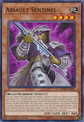 Assault Sentinel (DANE-EN011) Common