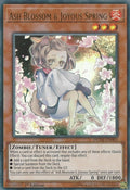 Ash Blossom & Joyous Spring (DUDE-EN003)  Ultra Rare