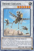 Desert Locusts (CHIM-EN082) Common