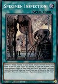 Specimen Inspection (BLAR-EN013)  Secret Rare