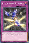 Black Wing Revenge (DLCS-EN033)  Common