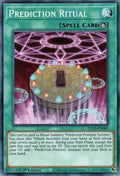 Prediction Ritual (DLCS-EN087)  Common