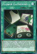 Flower Gathering (DLCS-EN136)  Common