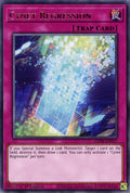 Cynet Regression (GEIM-EN057) Rare