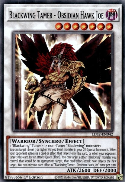 Blackwing Tamer - Obsidian Hawk Joe (LDS2-EN042) Common