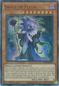 Sauge de Fleur (LED8-EN021)  Ultra Rare