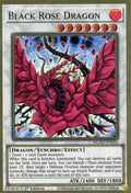 Black Rose Dragon (MGED-EN026)  Premium Gold Rare
