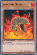 Volcanic Shell (SGX1-ENH07)  Common