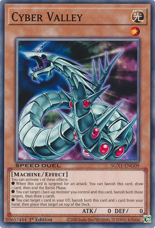Cyber Valley (SGX1-ENG09) Common