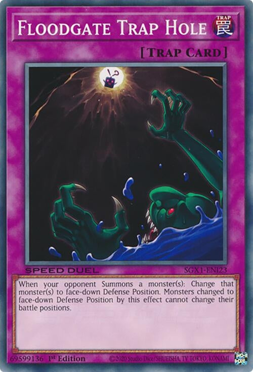 Floodgate Trap Hole (SGX1-ENI23)  Common