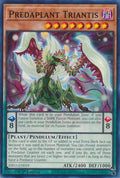 Predaplant Triantis (DIFO-EN019) Common