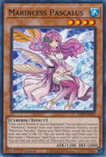 Marincess Pascalus (LED9-EN039)  Common