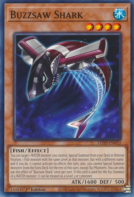 Buzzsaw Shark (LED9-EN052)  Common
