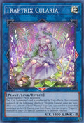 Traptrix Cularia (MP22-EN087)  Super Rare