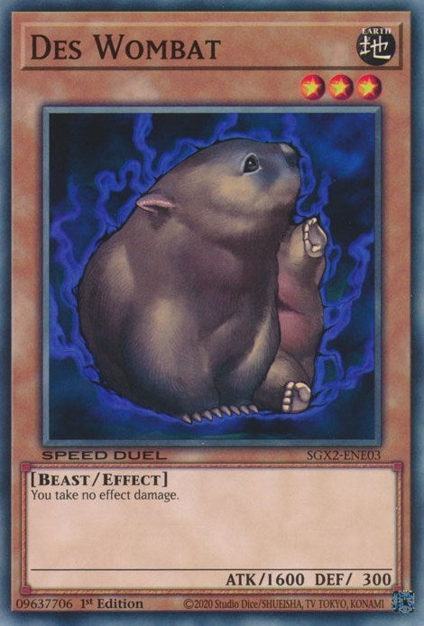 Des Wombat (SGX2-ENE03)  Common