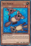 Sea Koala (SGX2-ENE05)  Common