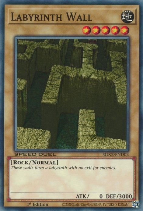 Labyrinth Wall (SGX2-END02)  Common