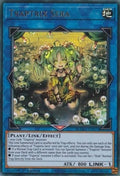 Traptrix Sera (MAMA-EN074)  Ultra Rare