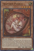 Traptrix Pudica (SDBT-EN001) Ultra Rare