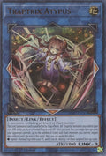 Traptrix Atypus (SDBT-EN043) Ultra Rare
