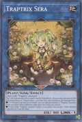 Traptrix Sera (SDBT-EN044) Common