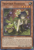 Traptrix Vesiculo (SDBT-EN008) Common