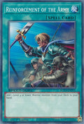 Reinforcement of the Army (SGX3-END11)  Common