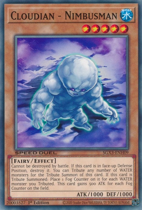 Cloudian - Nimbusman (SGX3-ENH09)  Common