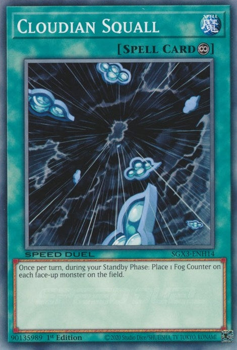 Cloudian Squall (SGX3-ENH14)  Common