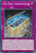 The First Sarcophagus (SGX3-ENI06)  Common