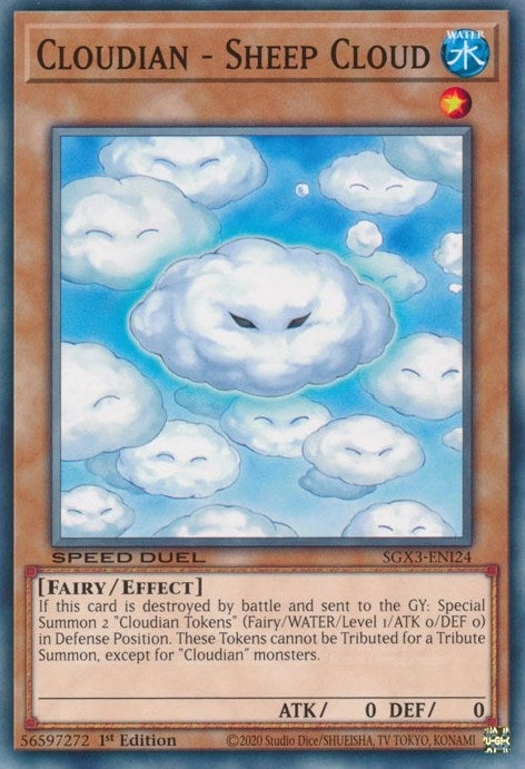 Cloudian - Sheep Cloud (SGX3-ENI24)  Common