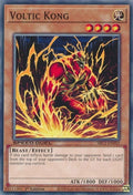 Voltic Kong (SBC1-ENF03)  Common
