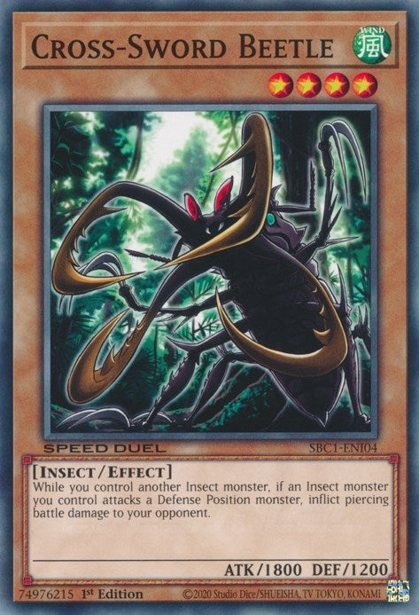 Cross-Sword Beetle (SBC1-ENI04)  Common