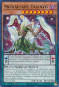 Predaplant Triantis (MP23-EN071)  Common