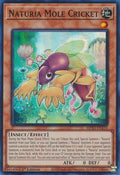 Naturia Mole Cricket (MP23-EN170)  Super Rare
