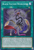 Black Feather Whirlwind (MP23-EN195)  Common