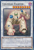 Colossal Fighter (VASM-EN054)  Rare