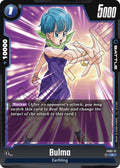 (FS02-12) Bulma - Common